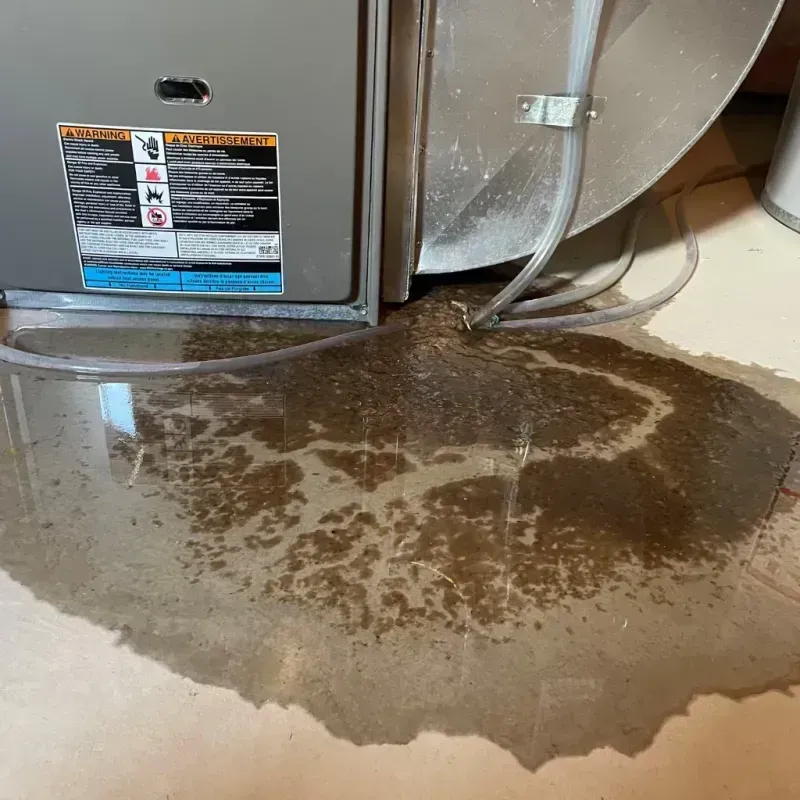 Appliance Leak Cleanup in Frontier County, NE